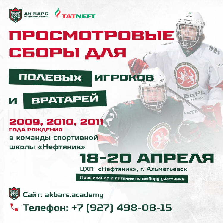 Бизнес газета хоккей