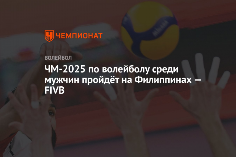 Чм по волейболу мужчины