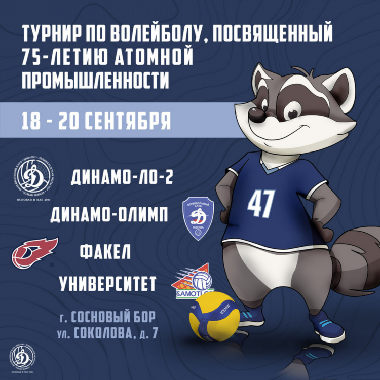 Динамо олимп волейбольный клуб
