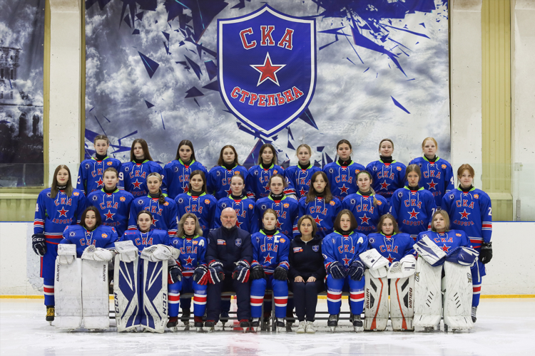 Хоккейная лига спб