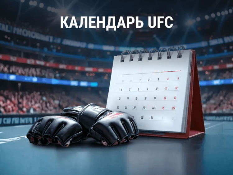 Когда следующий турнир ufc