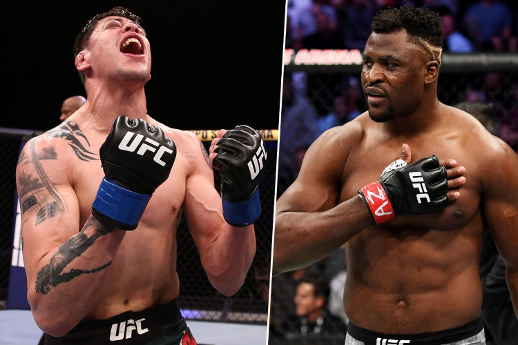 Кто чемпион ufc в легком весе