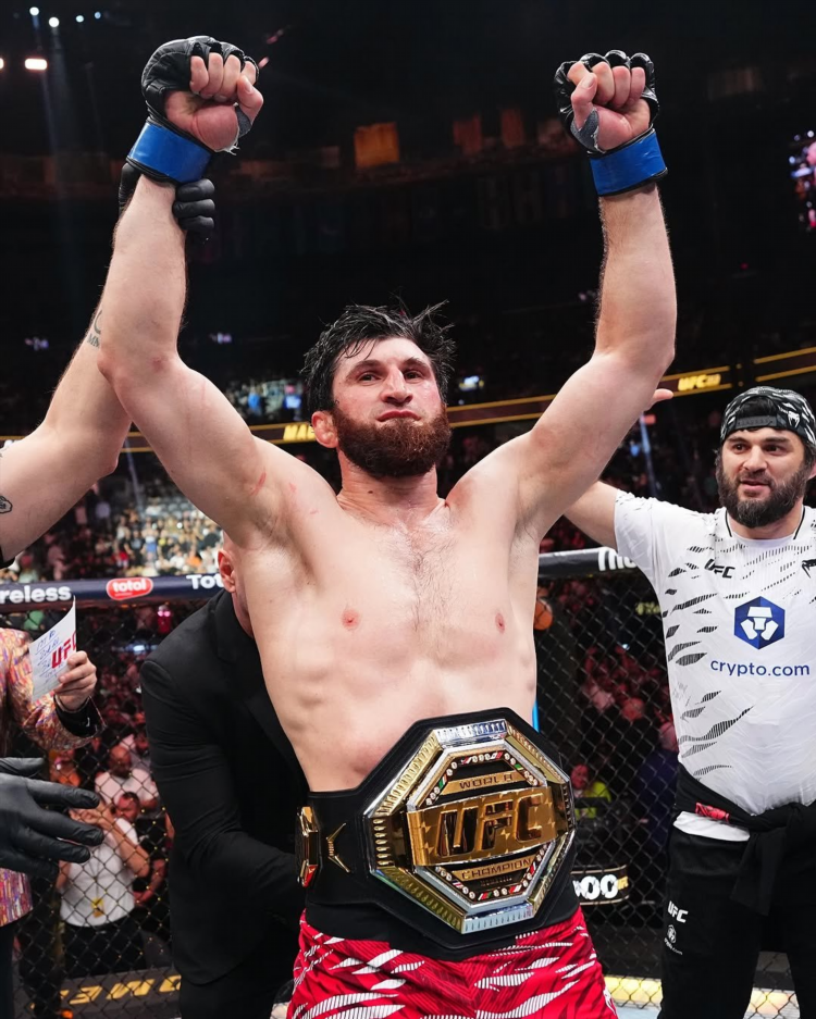 Кто чемпион ufc