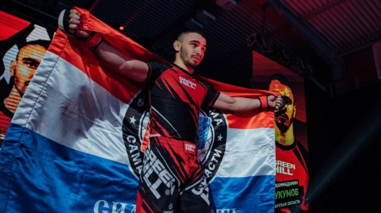 Mma что это за спорт