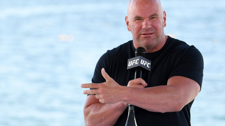 Последний турнир ufc