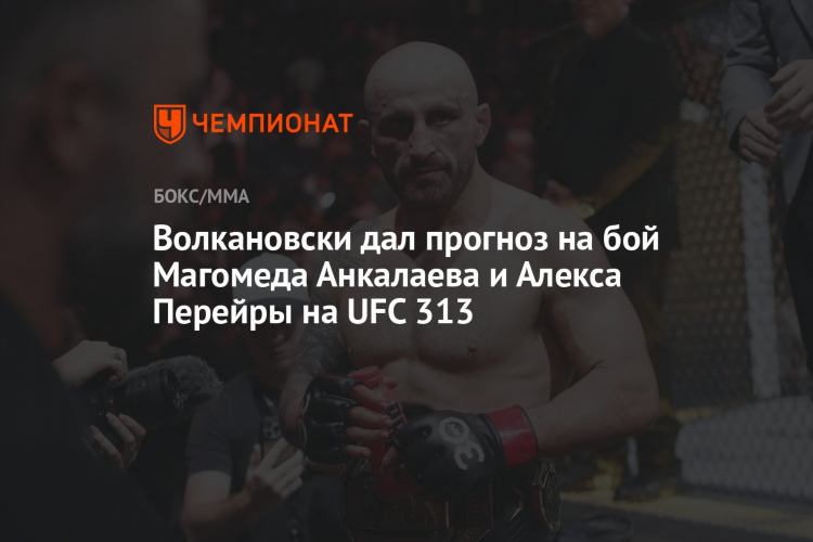 Прогнозы на мма
