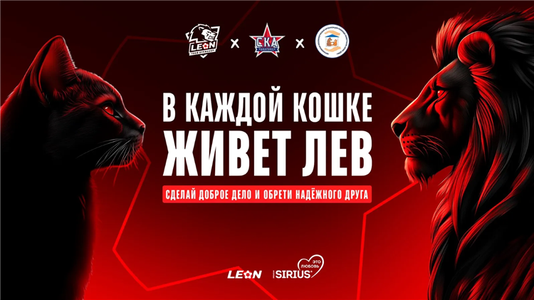 Программа кхл хабаровск