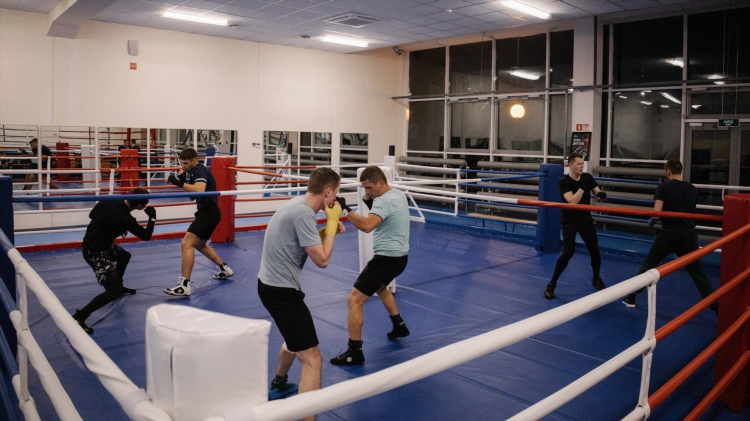 Спорт бокс ру спортивные