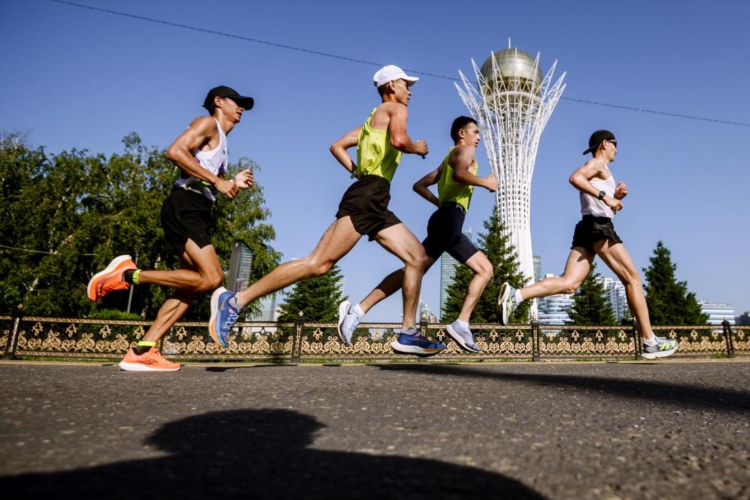 Спорт новости аналитика