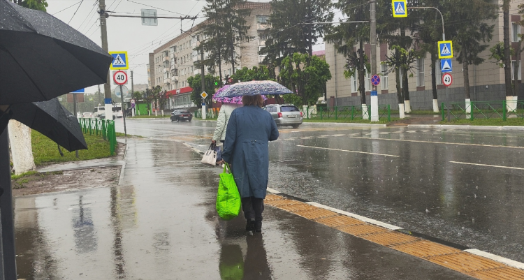 Точные прогнозы на теннис