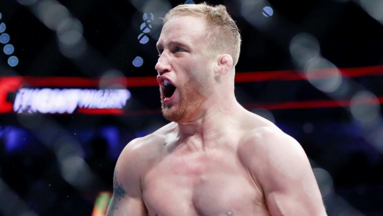 Временный чемпион ufc